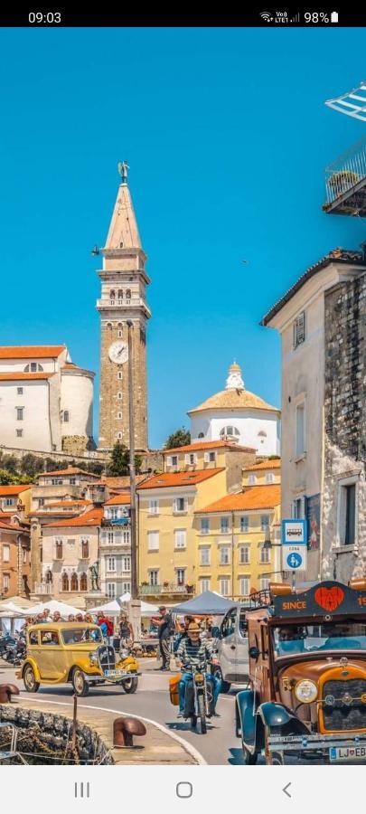 Lara Renovated 2023 Piran
